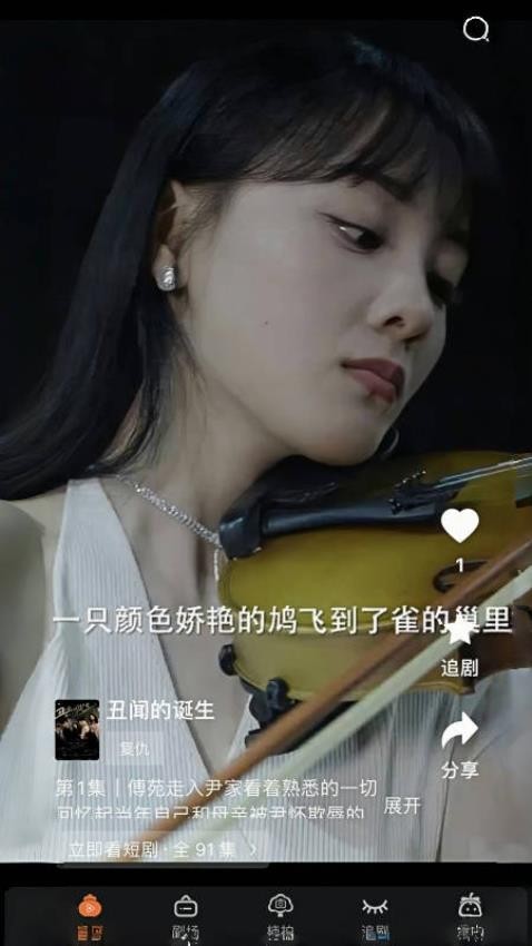 柿播