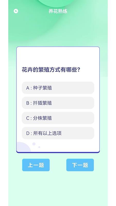 摆花齐放乐趣无限