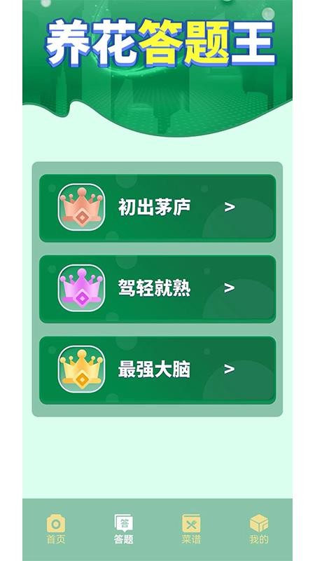 摆花齐放乐趣无限