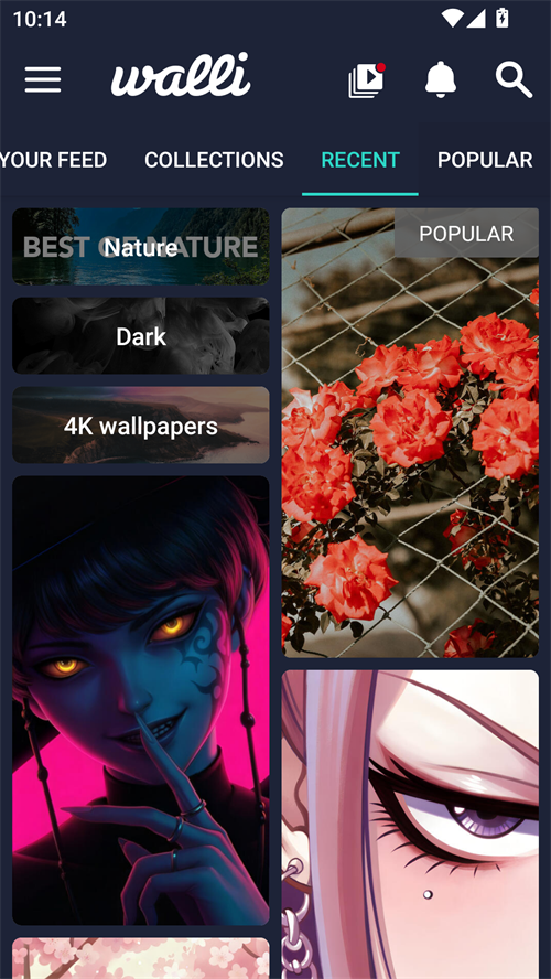 Walli 4K