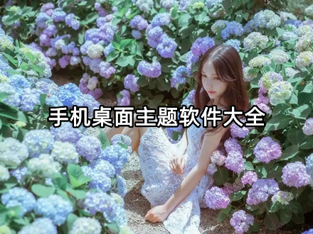 手机桌面主题软件大全