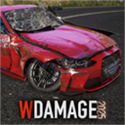 wdamage
