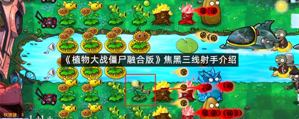 《植物大战僵尸融合版》焦黑三线射手介绍