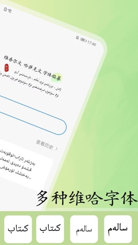 维哈书法练字大师