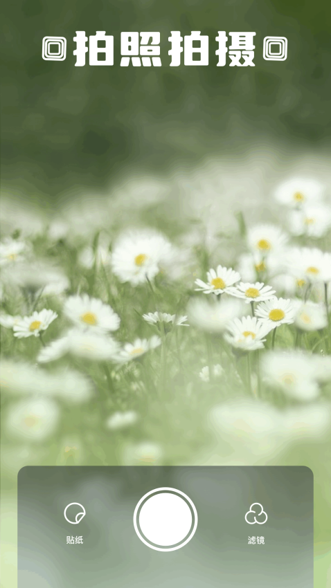 Z动漫无广告免费版