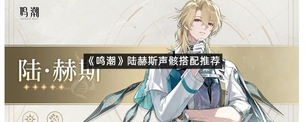 《鸣潮》陆赫斯声骸搭配推荐