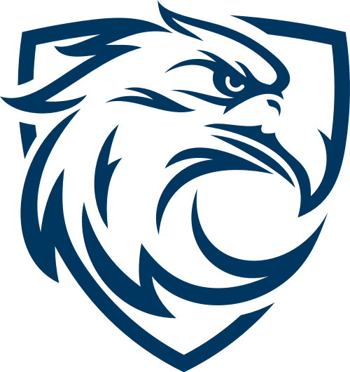 蓝鹰视界纯净版下载