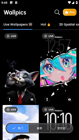 椰树壁纸4k最新版