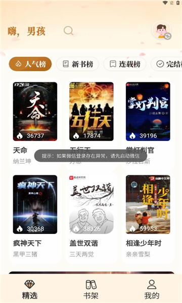 燎原小说正版