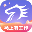 百城招聘企业版