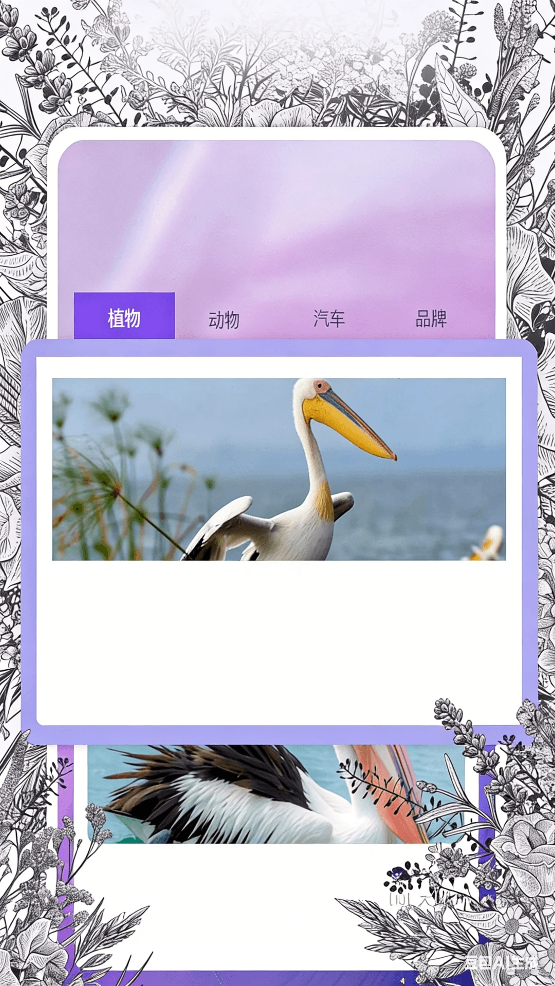 识物相机免费版