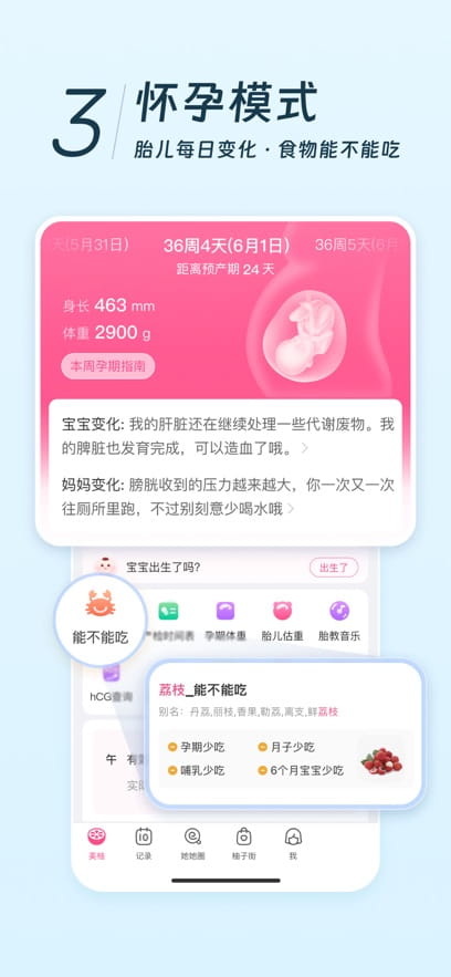 美柚