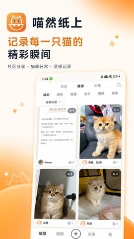喵然纸上
