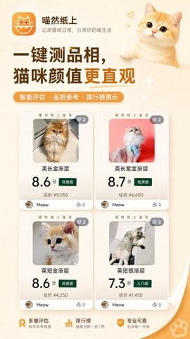 喵然纸上最新版
